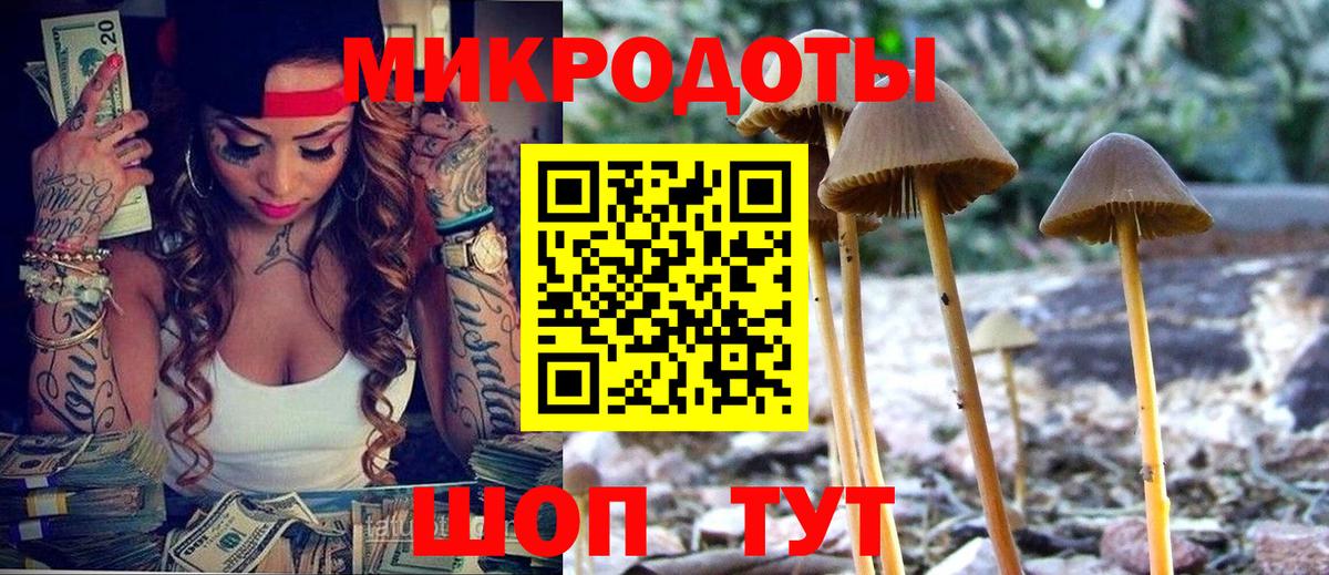 Псилоцибиновые грибы прущие грибы  Вход с VPN  что такое наркотик  Камышин 
