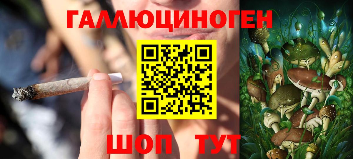 Галлюциногенные грибы Psilocybine cubensis Камышин